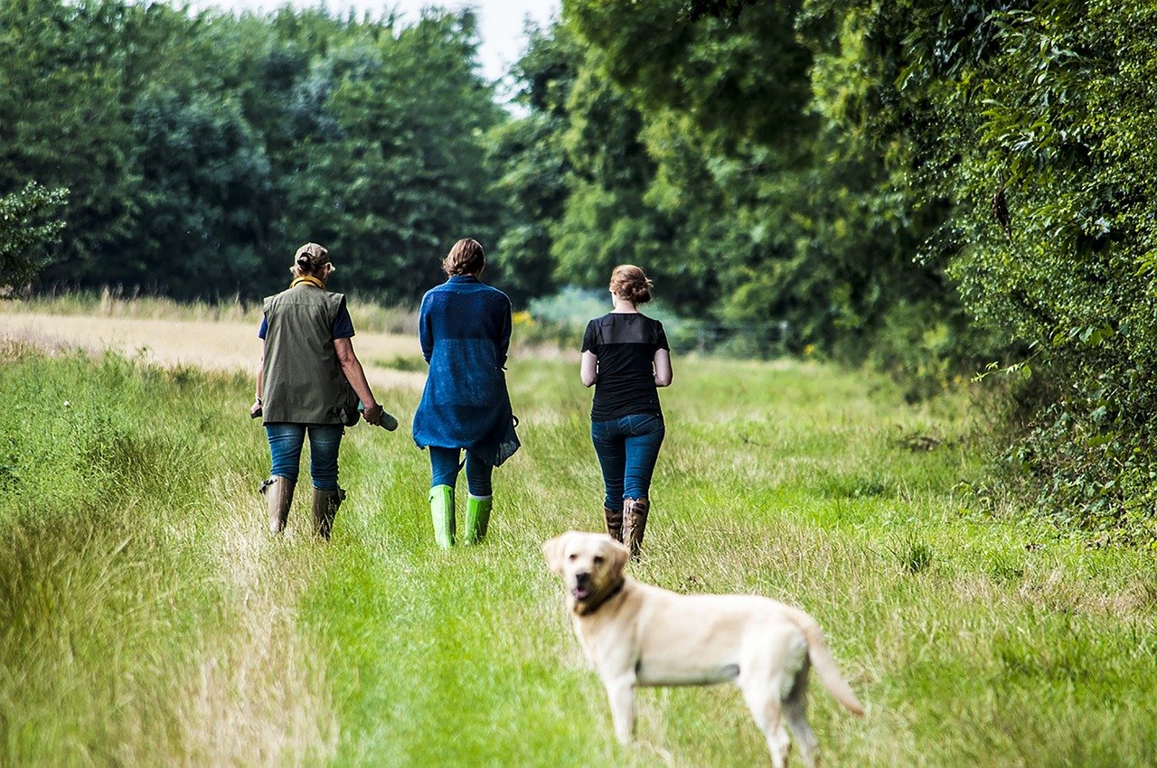Walking Vogel's Bread